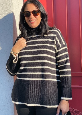 Pull col roulé Alienor