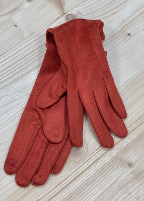 Gants modle Winter